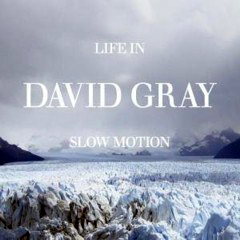 Gray, David - 2005 - Life In Slow Motion