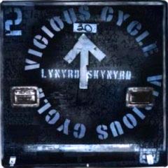 Lynyrd Skynyrd - 2003 - Vicious Cycle